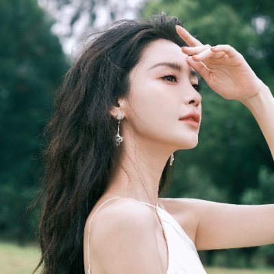 yangyingpics's profile picture
