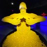 Nero Perla's profile picture