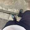 Я хочу член. Я хочу толстяка.'s profile picture
