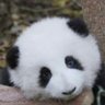 🍀 的头像