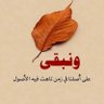 sherif abdelaziz 的头像