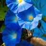 Фото профиля MST. Jasmine Akther