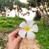 أروىٰ 的头像