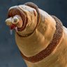 EndoplazmicReticulum's profile picture