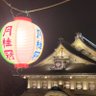 AI 的头像