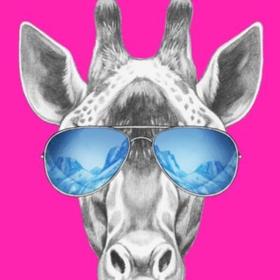 ♀️YOqueSÉ ♀️'s profile picture