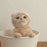 this._is.mona's profile picture