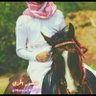 منصور الحربي،،'s profile picture