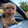 kobby's profile picture