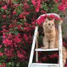 Fa profil fotoğrafı
