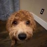 Jayden profil fotoğrafı