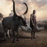 Фото профиля Ahmed Adventures