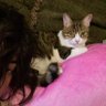 asia's profile picture