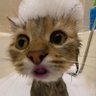 Dew's profile picture