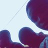 Thomas's profile picture