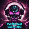 vancamgaming 的头像