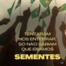 Фото профиля Wanisa Trova - BRASIL, ESTOU AQUI