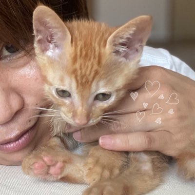 SShigebon's profile picture