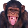 Apemancommeth 的头像