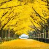 Фото профиля ひのて