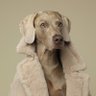 Фото профиля まろん🐶🌰