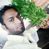 Amar Kumar 的头像