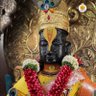 विमल - વિમલ 🇮🇳 profil fotoğrafı