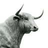 Profilbild von Trader Maxxxi Rise