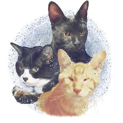 ねここねこ's profile picture