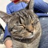 Roma's profile picture