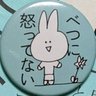 *にんにん*Mark III profil fotoğrafı