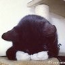 Seedd 的头像