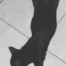Rito profil fotoğrafı