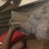 Mike4God 的头像