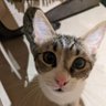 elhombreJ profil fotoğrafı