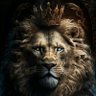 Felipe Lopes de moraes's profile picture