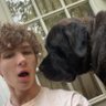 Fee's profile picture