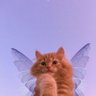 To_Ey_Ey's profile picture