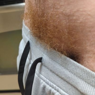 Gingerbonerbro's profile picture
