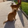Фото профиля eduardo