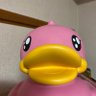 虎吉 profil fotoğrafı