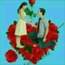 محيرني محيرني profil fotoğrafı