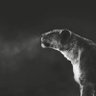A_K's profile picture