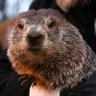 GROUNDHOG profil fotoğrafı