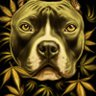 the may 4.20💚💚's profile picture