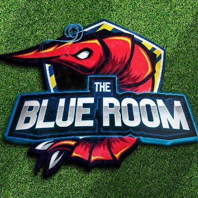 blueroomsufc's profile picture