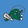 Tulane Football 的头像