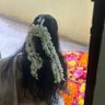 பிரியா Priya 的头像