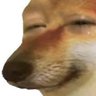 Murphis | Dogebonk.io 的头像