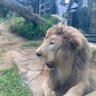 Фото профиля りょう